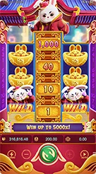 gg288 · Fortune Rabbit